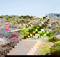 Margaret River Coastal and Wildlife Eco Trip from Busselton or Dunsborough - Accommodation Georgetown